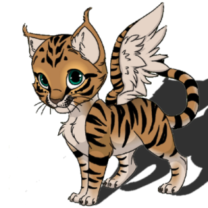 catflyhigh