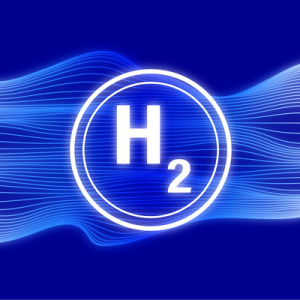 Hydrogen Economy