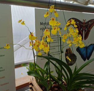 photo/618629b7-623e-4137-a13f-82e2bf9dc4cc-3