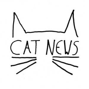 Cat News