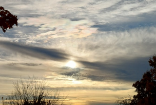 photo/d1e73563-4267-488c-825c-9c6ffecdef3a-3