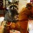 Rootin Tootin Coon