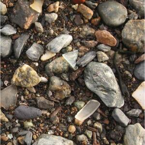 This is not 🦆 paradise