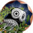 M.+N%C3%AD+S%C3%ADdach